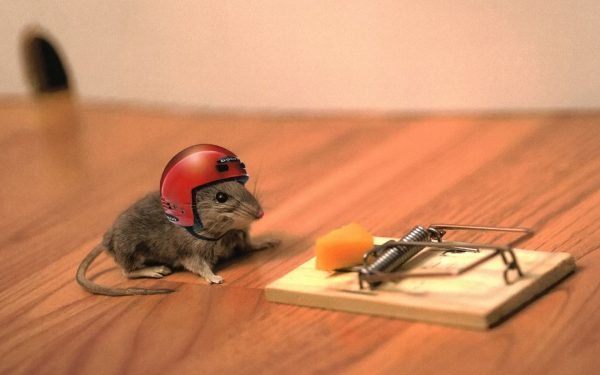 [Image: mouse-trap-helmet.jpg]
