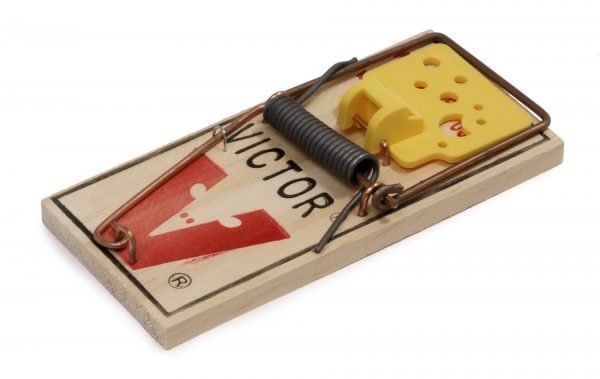 13 Reasons Your Mouse Traps Aren't Getting The Job Done